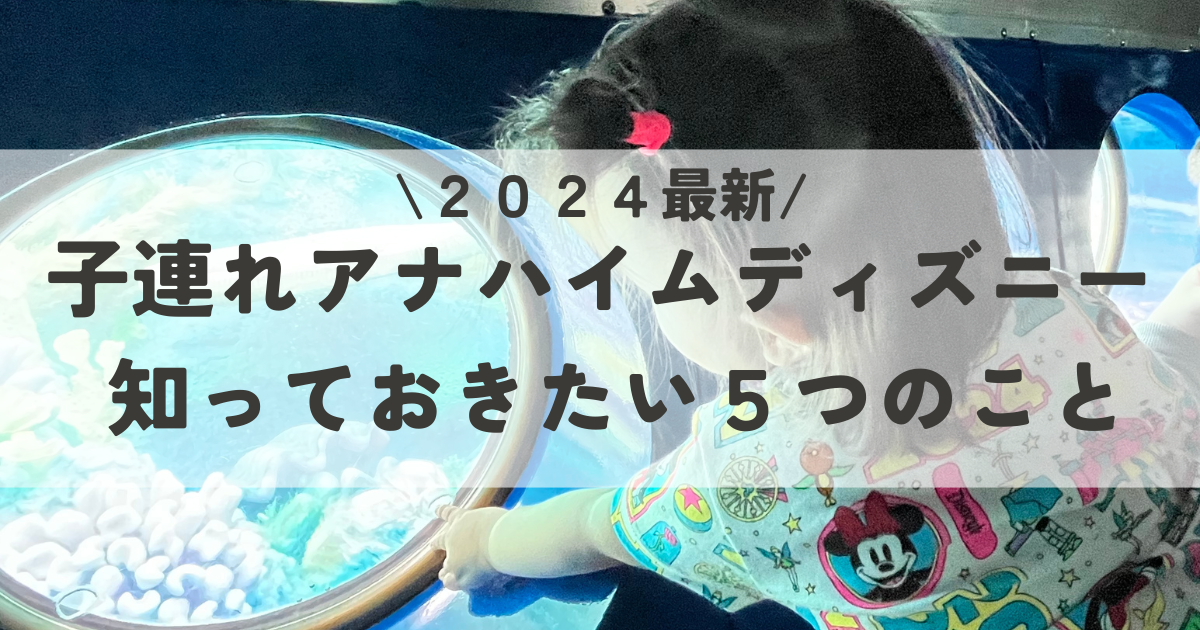 【2024最新】カルフォルニアディズニー　子連れが知っておきたい５つのこと